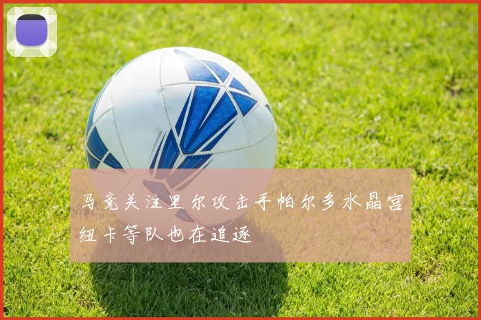 马竞关注里尔攻击手帕尔多水晶宫纽卡等队也在追逐