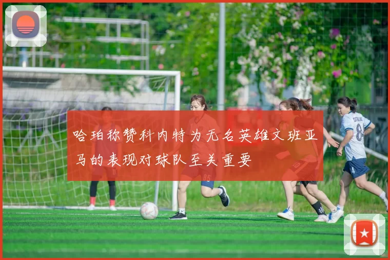 哈珀称赞科内特为无名英雄文班亚马的表现对球队至关重要